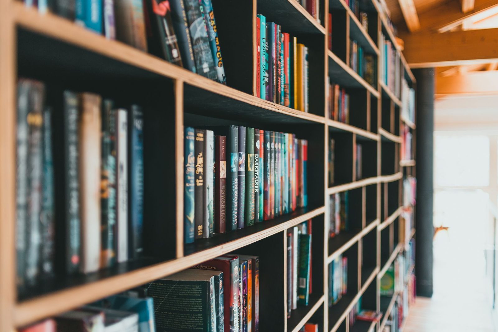 Raumhohe Bibliothekswand aus Nussbaumholz